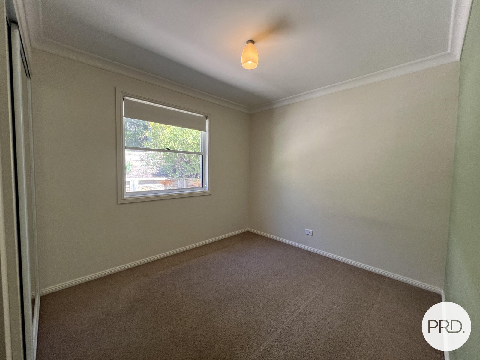 254 Foxlow Street CAPTAINS FLAT 13