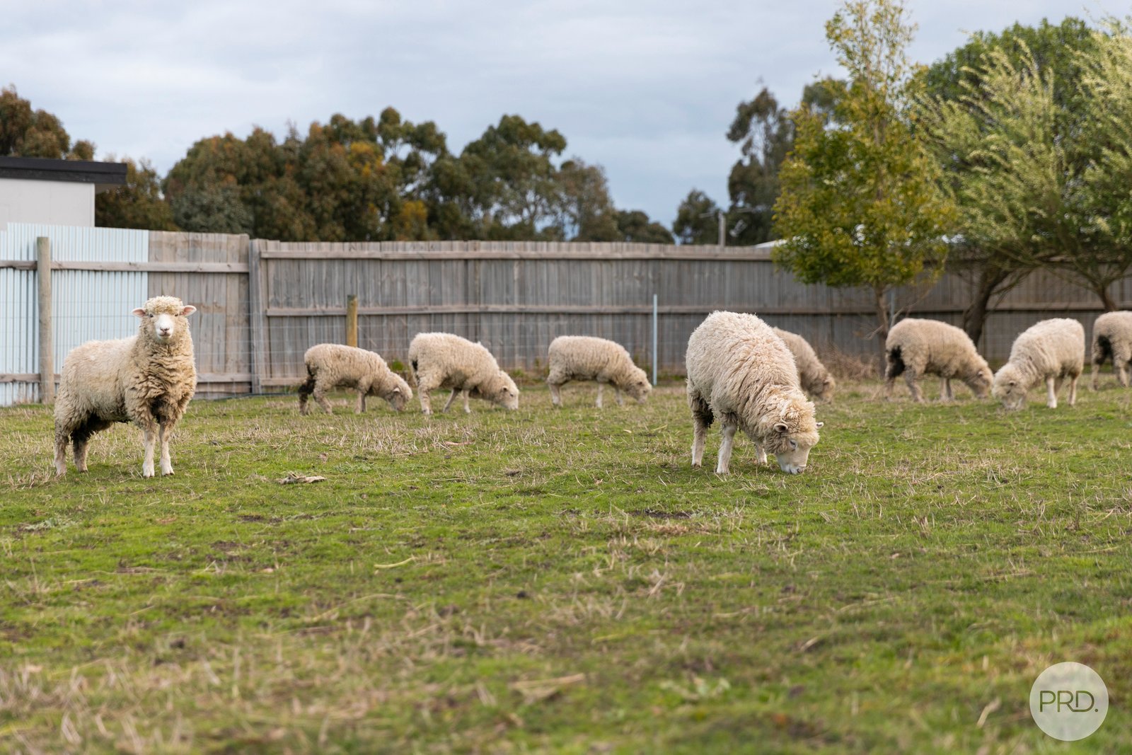 2550 Colac-Ballarat Road DEREEL 18