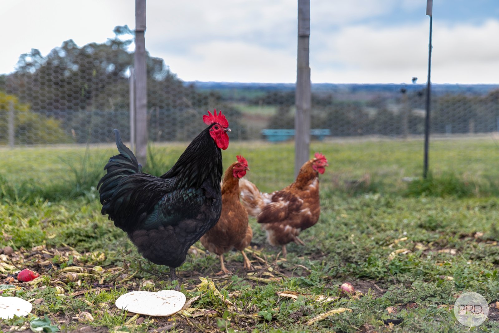 2550 Colac-Ballarat Road DEREEL 19