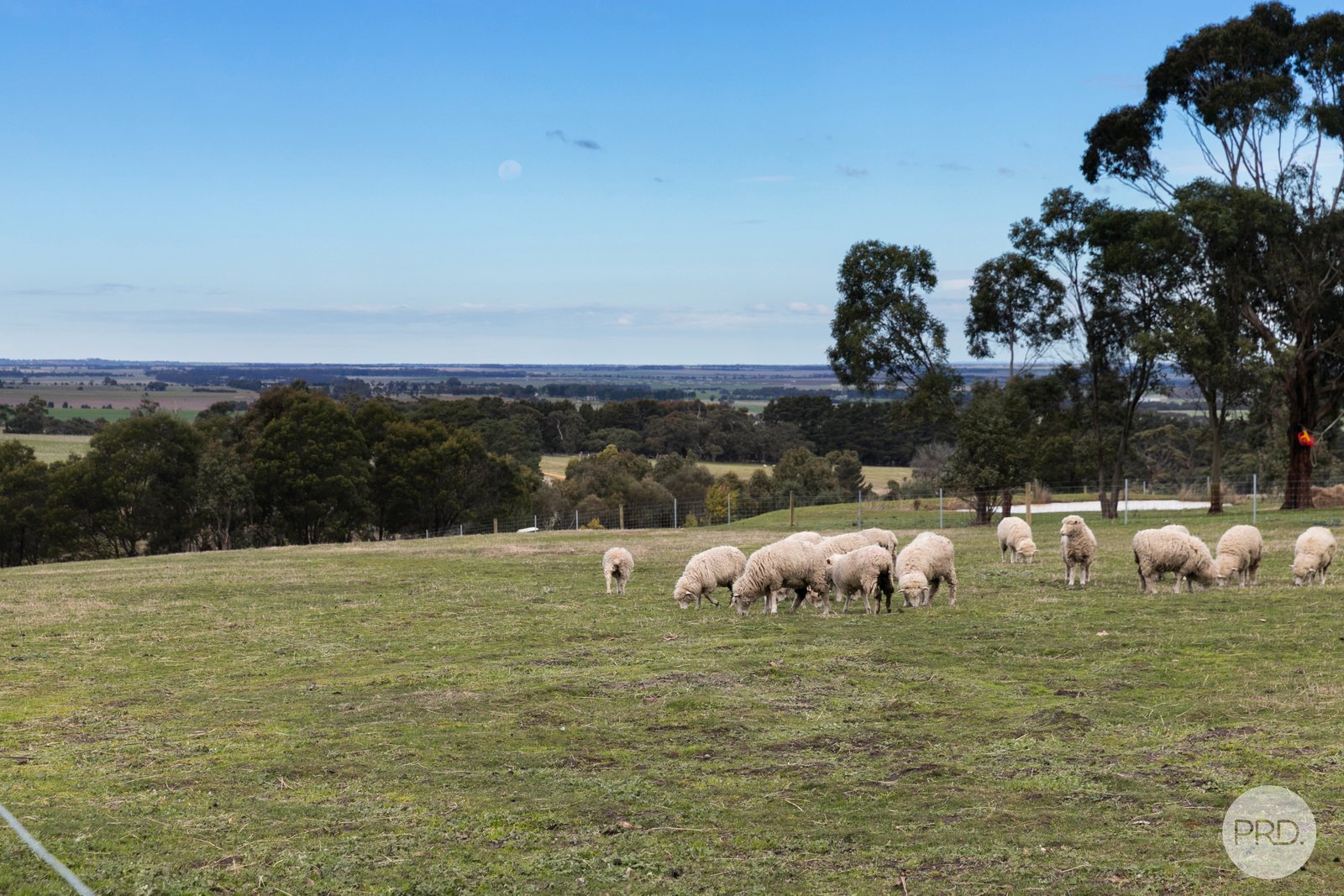 2550 Colac-Ballarat Road DEREEL 20