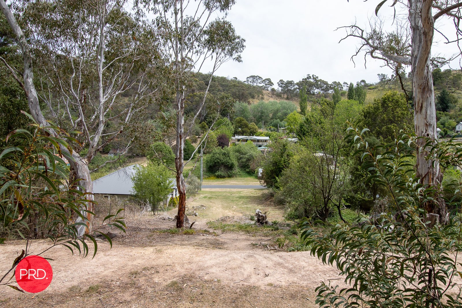 256 Foxlow Street CAPTAINS FLAT 10