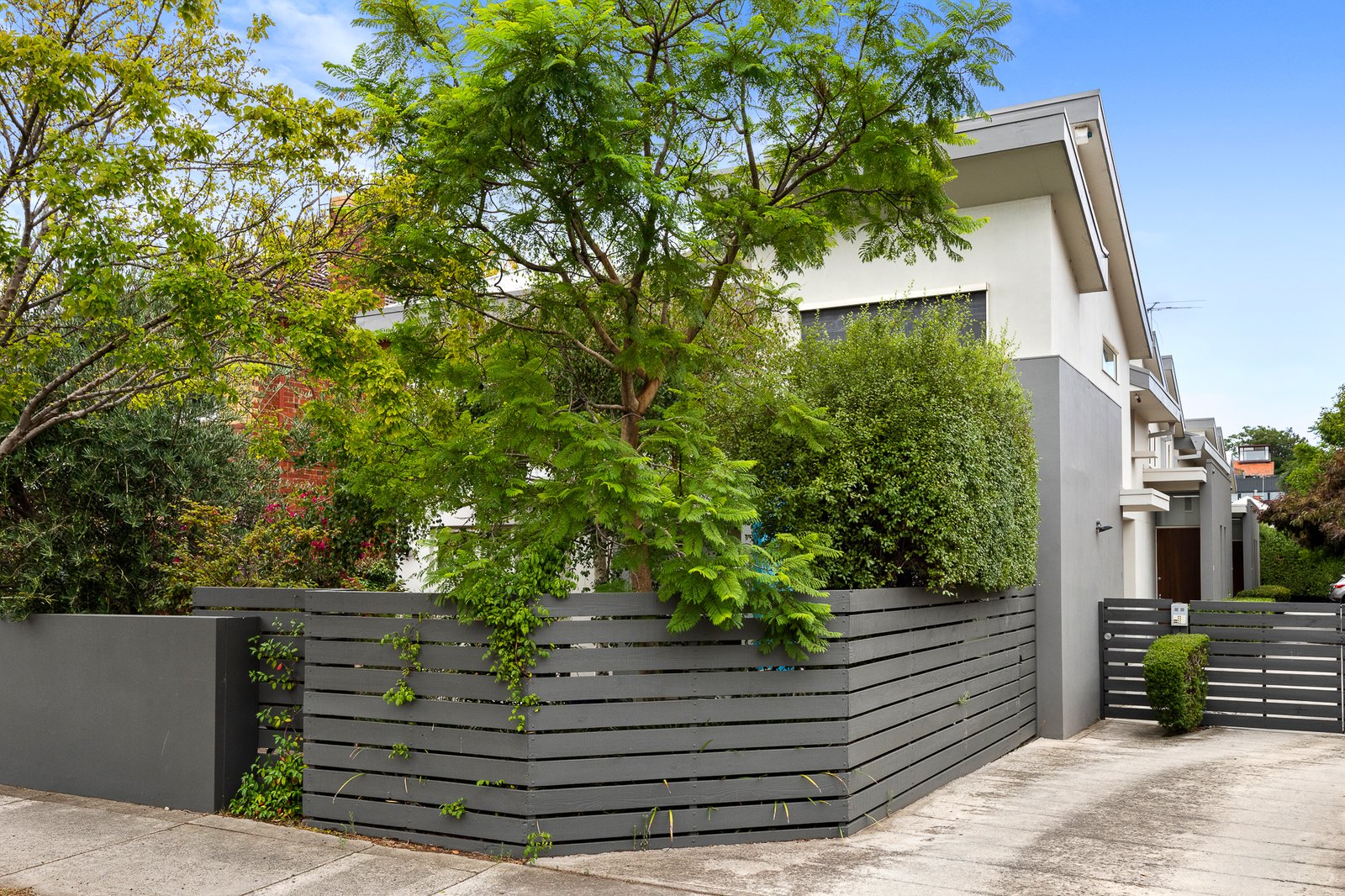 Gallery: 2/58 Alexandra Street