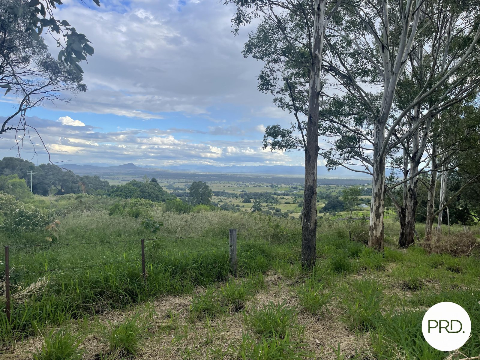 258 Embreys Road TALLEGALLA 2