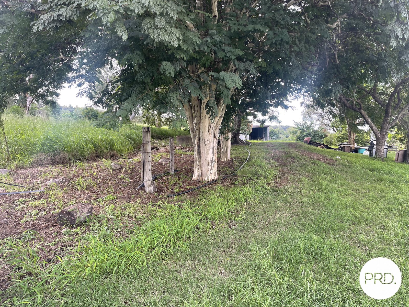 258 Embreys Road TALLEGALLA 3