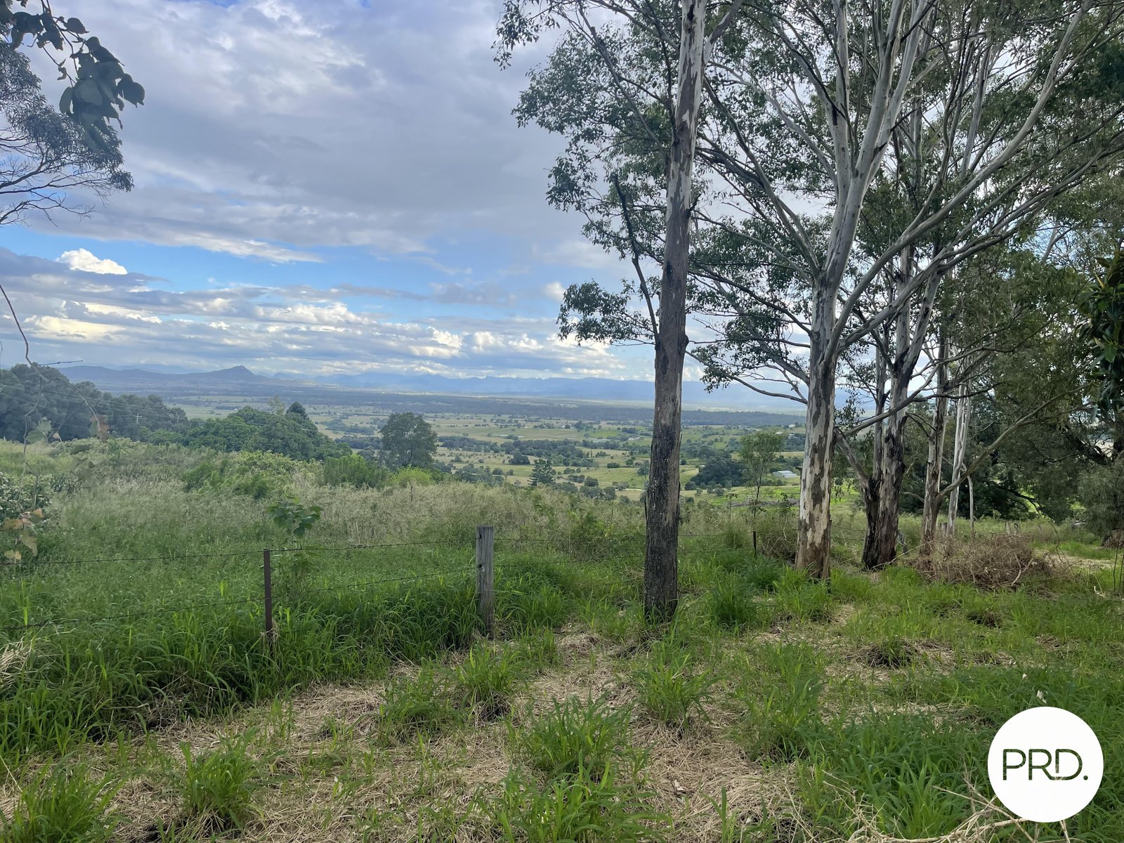 258 Embreys Road TALLEGALLA 5