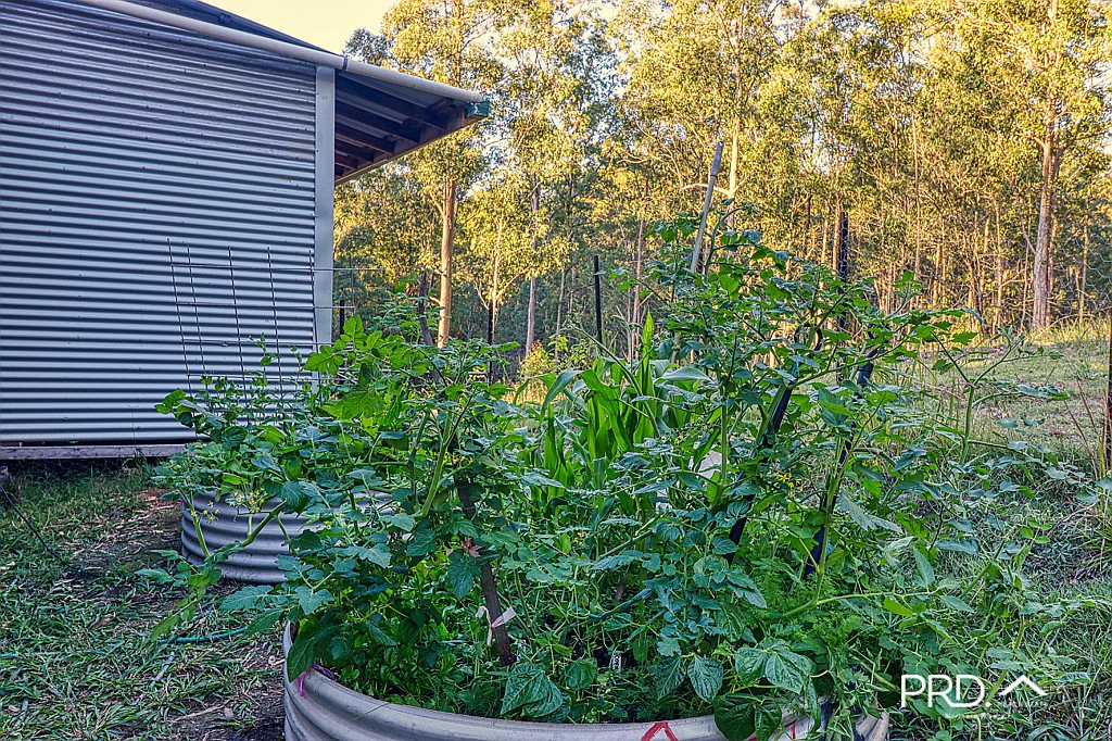 2580 Afterlee Road, Toonumbar via  KYOGLE 20
