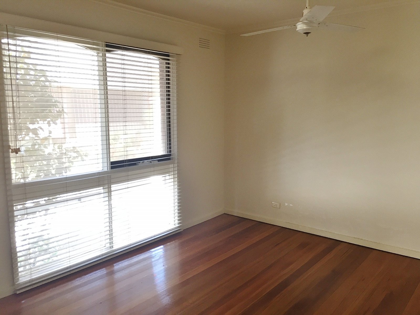 Gallery: 2/59 Patty Street