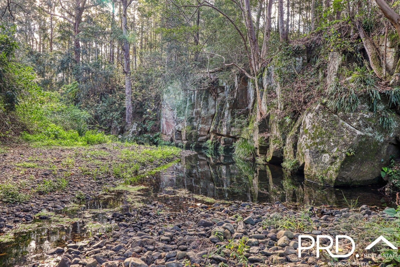 259 Smiths Creek Road KYOGLE 6