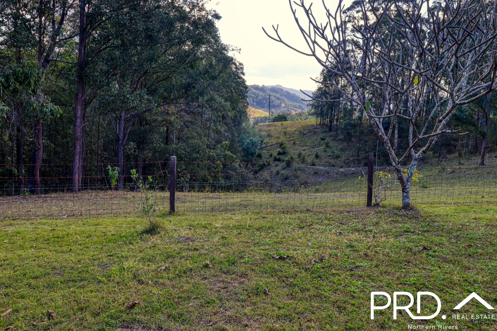 259 Smiths Creek Road KYOGLE 8