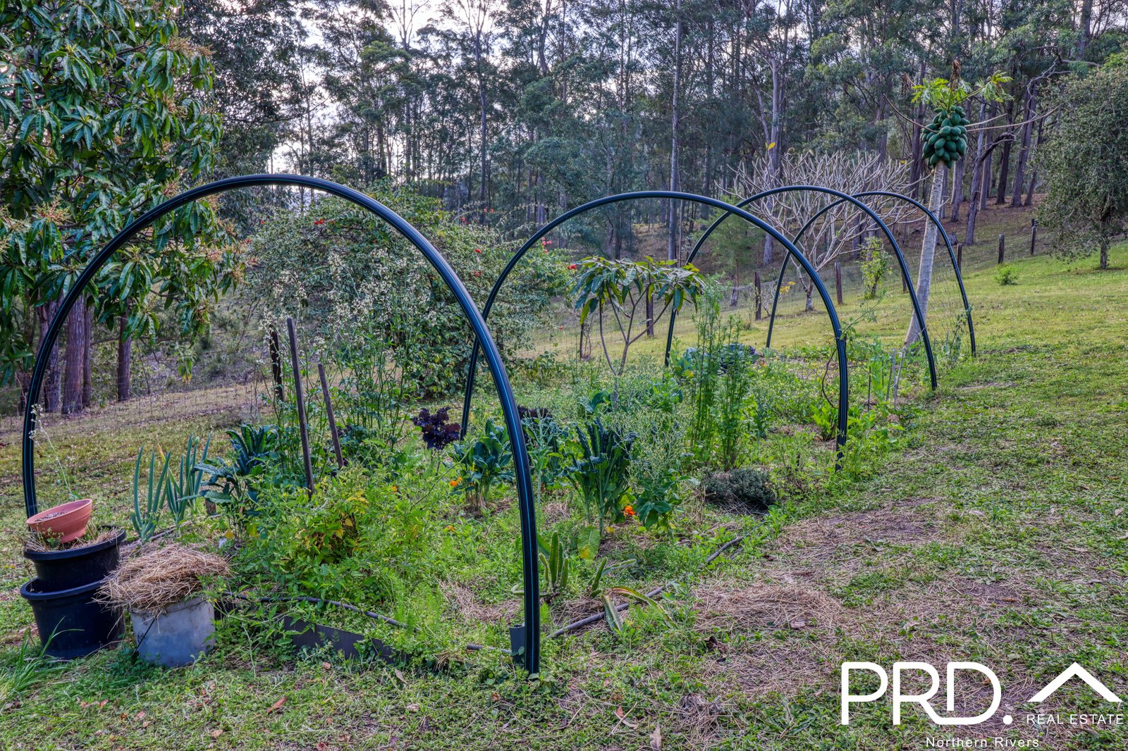 259 Smiths Creek Road KYOGLE 22