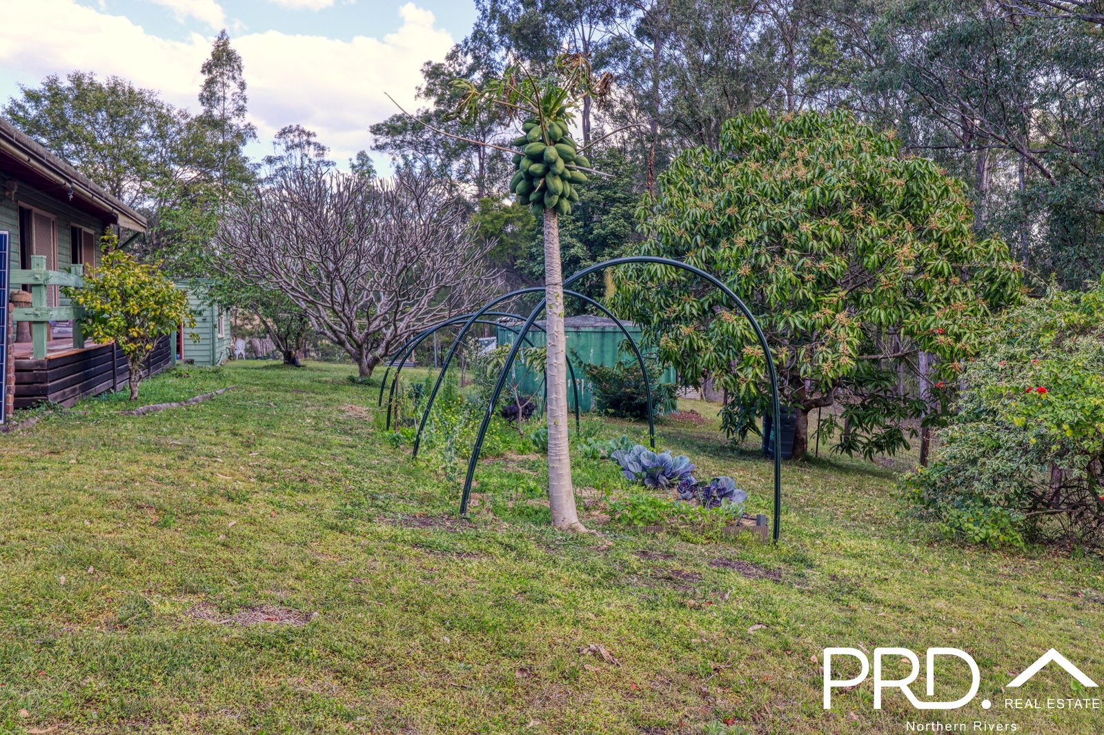 259 Smiths Creek Road KYOGLE 23