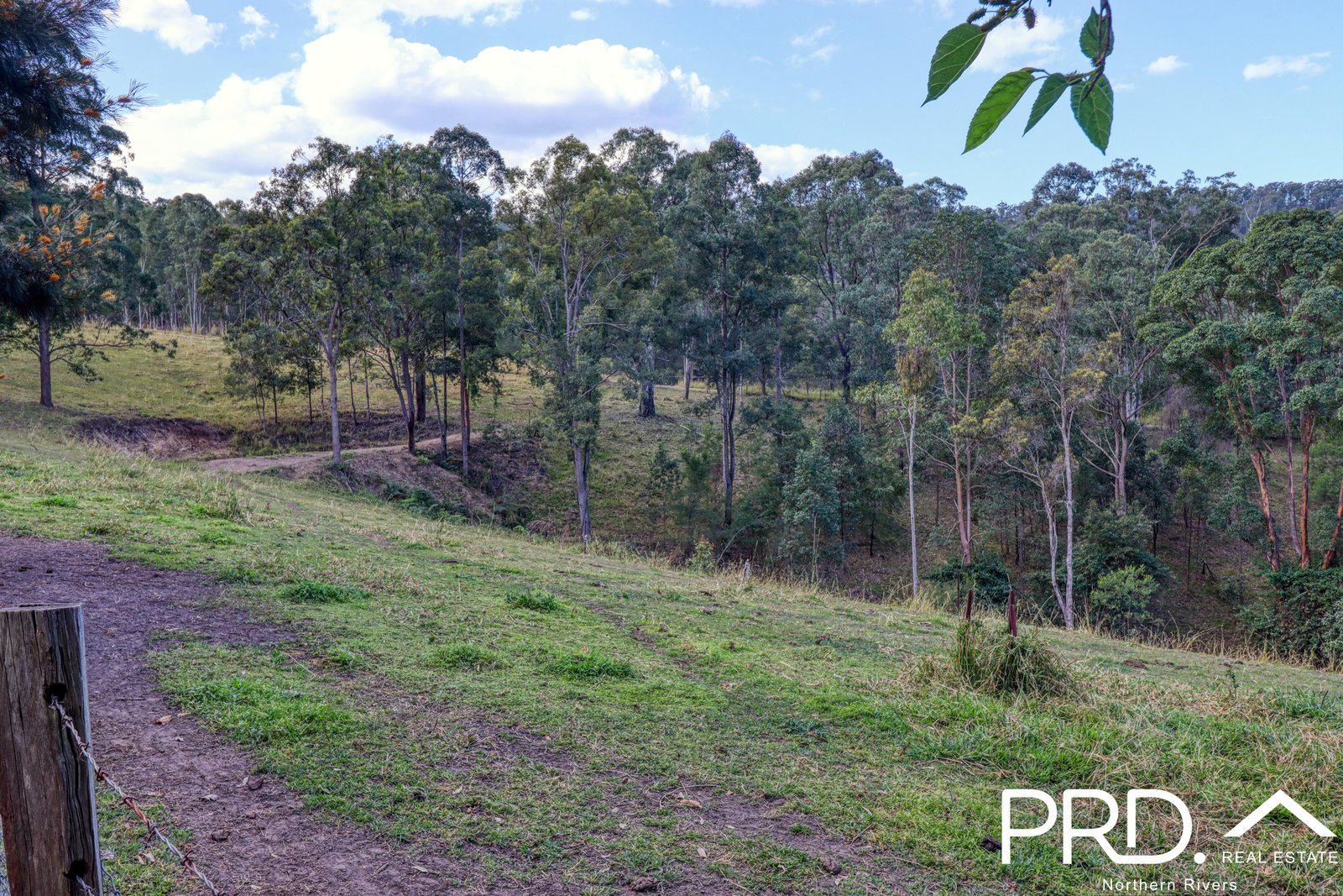259 Smiths Creek Road KYOGLE 27