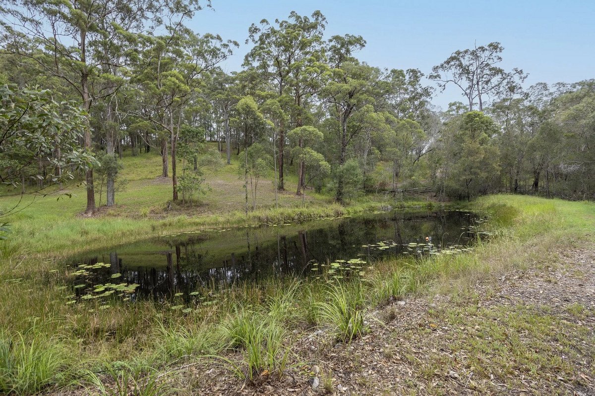 259 Trees Road Tallebudgera 8