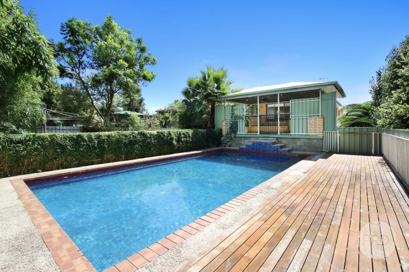 259 Vickers Road LAVINGTON 17