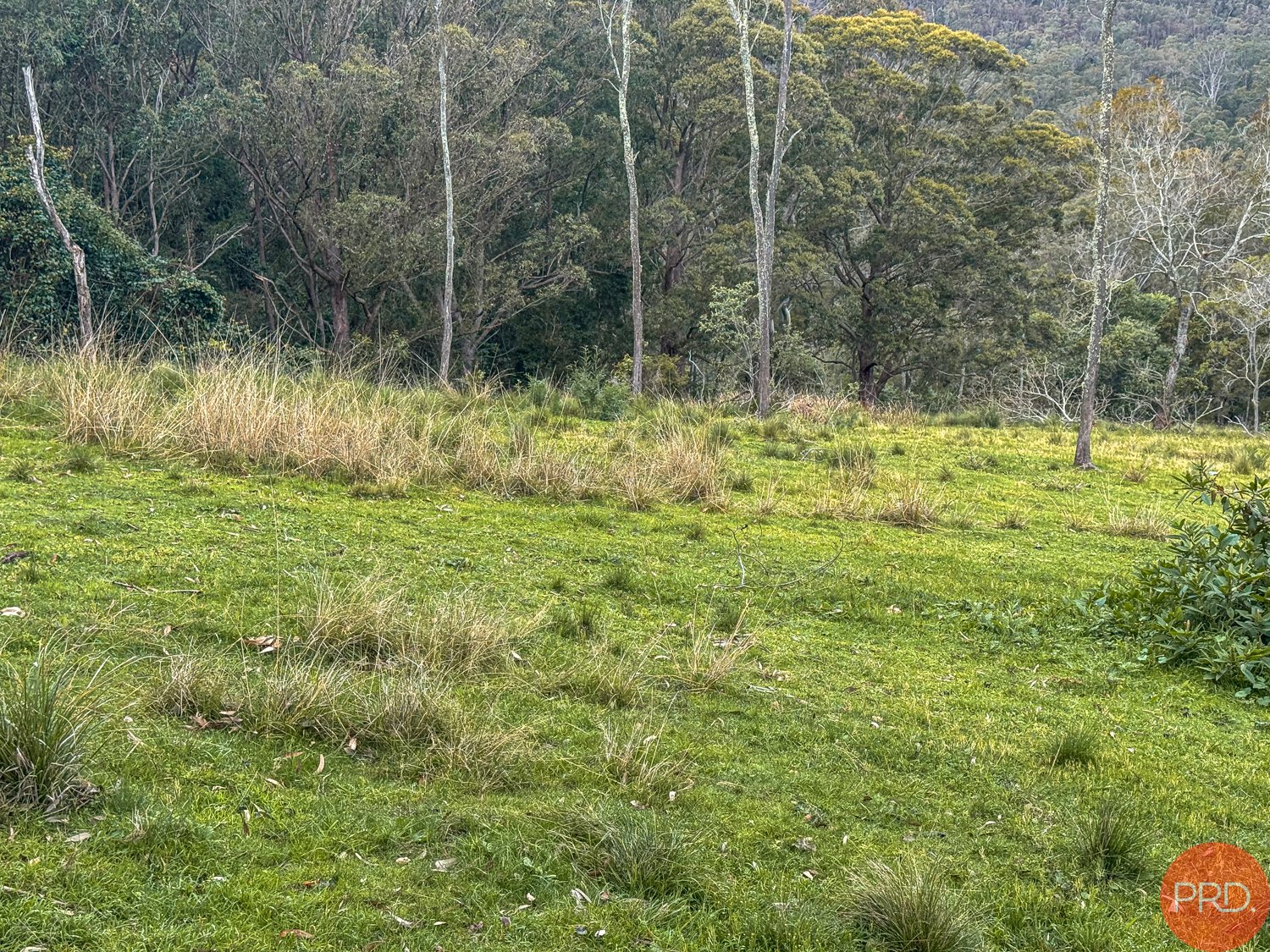 25a Forest Road DUNS CREEK 3