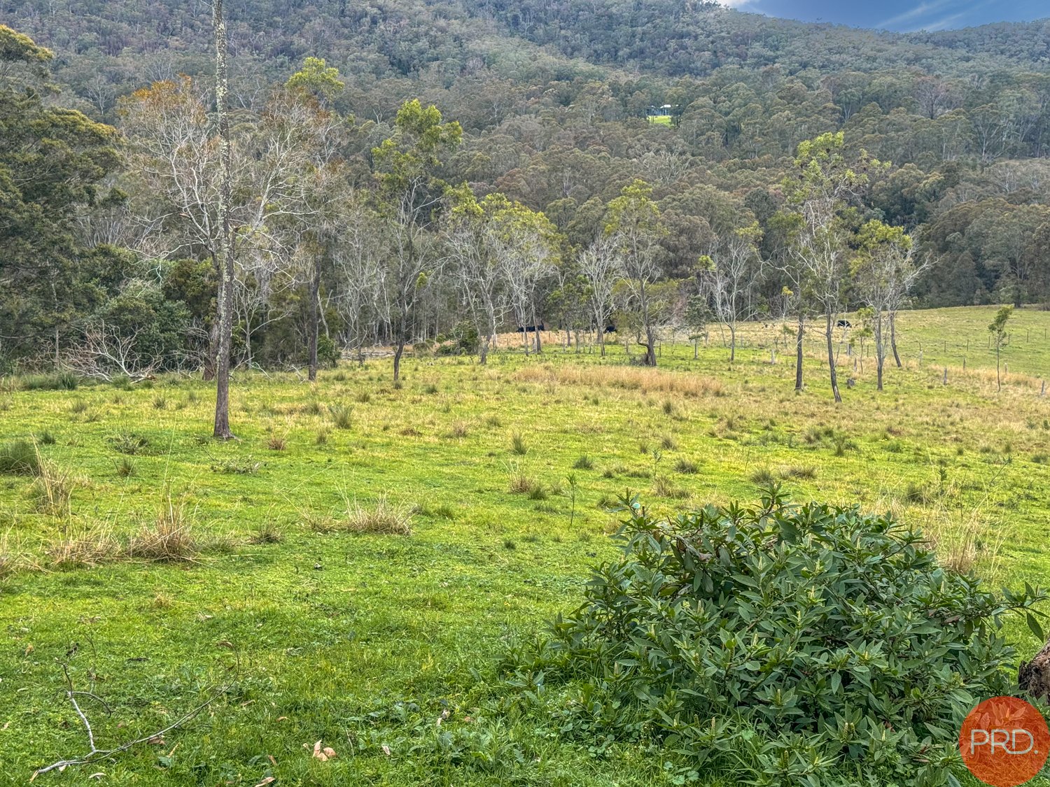 25a Forest Road DUNS CREEK 5