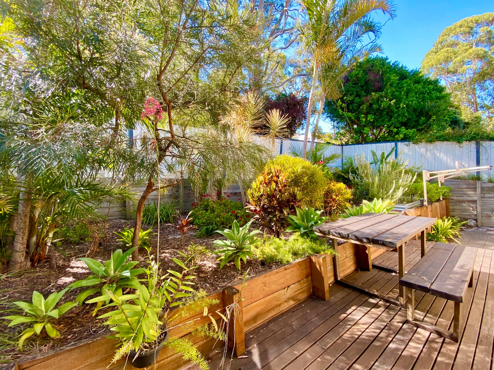 25a Trumpeter Circuit CORLETTE 24