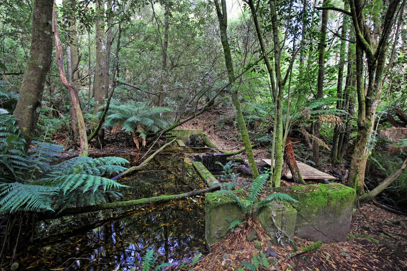 Real Estate and Property in 26-28 Days Track, Hesket, VIC