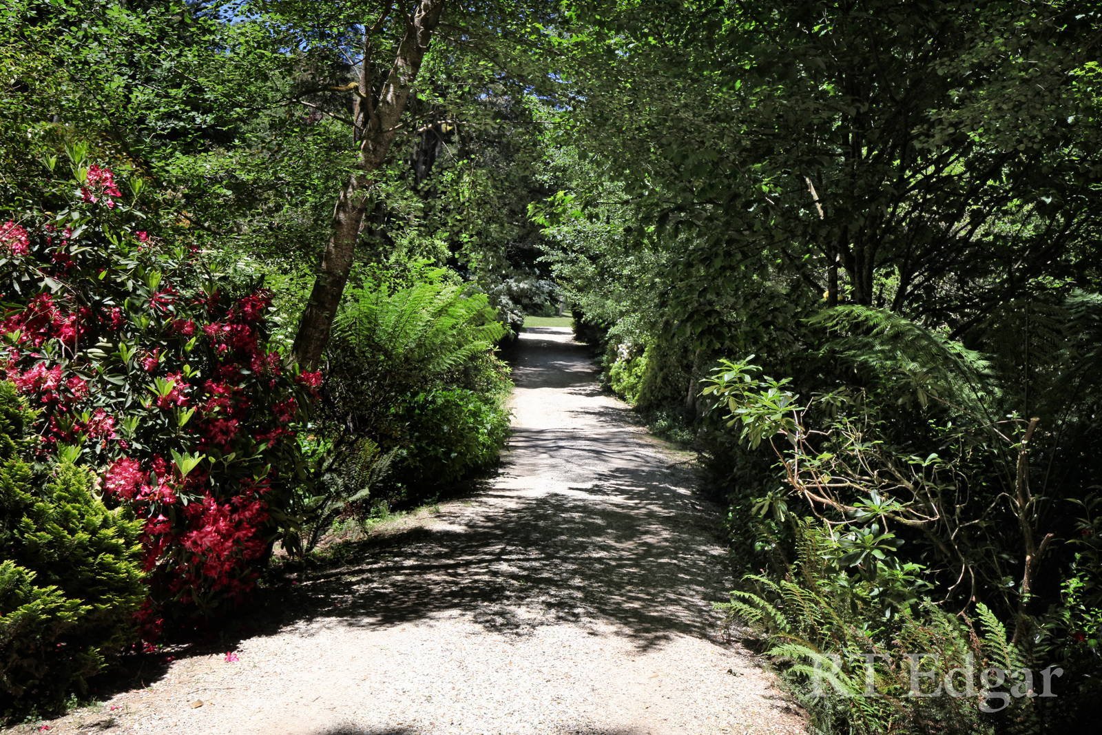 Real Estate and Property in 26-28 Days Track, Hesket, VIC