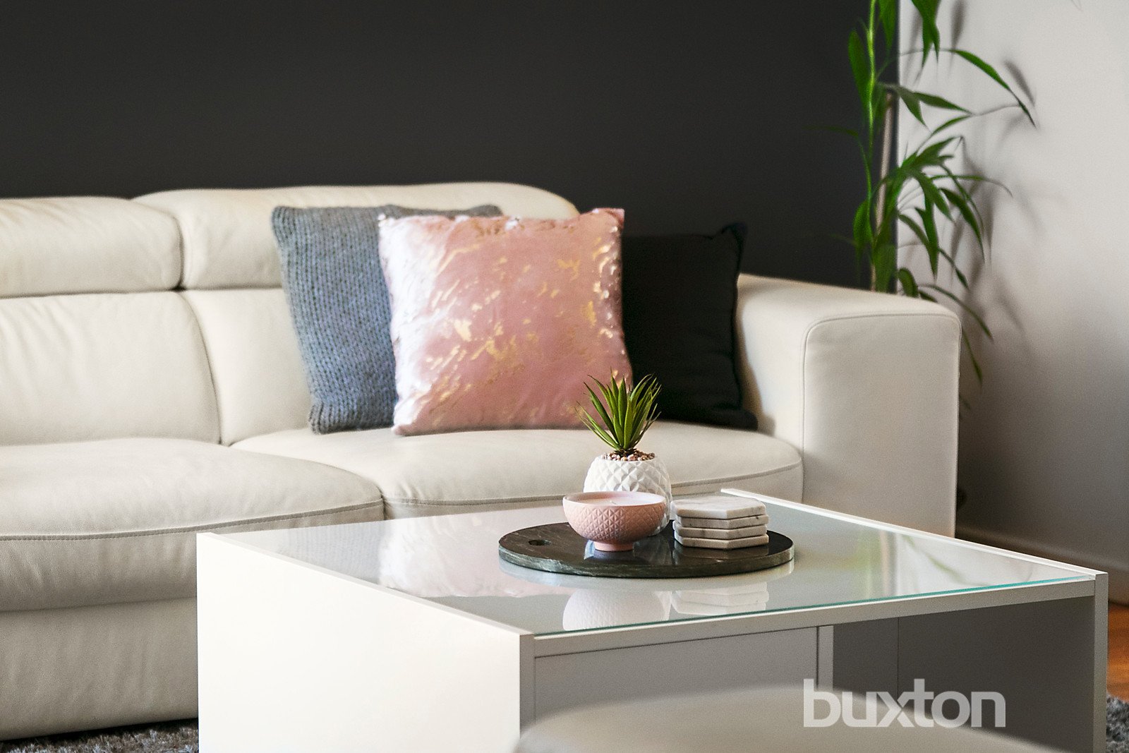 Gallery: 26 Abercrombie Street