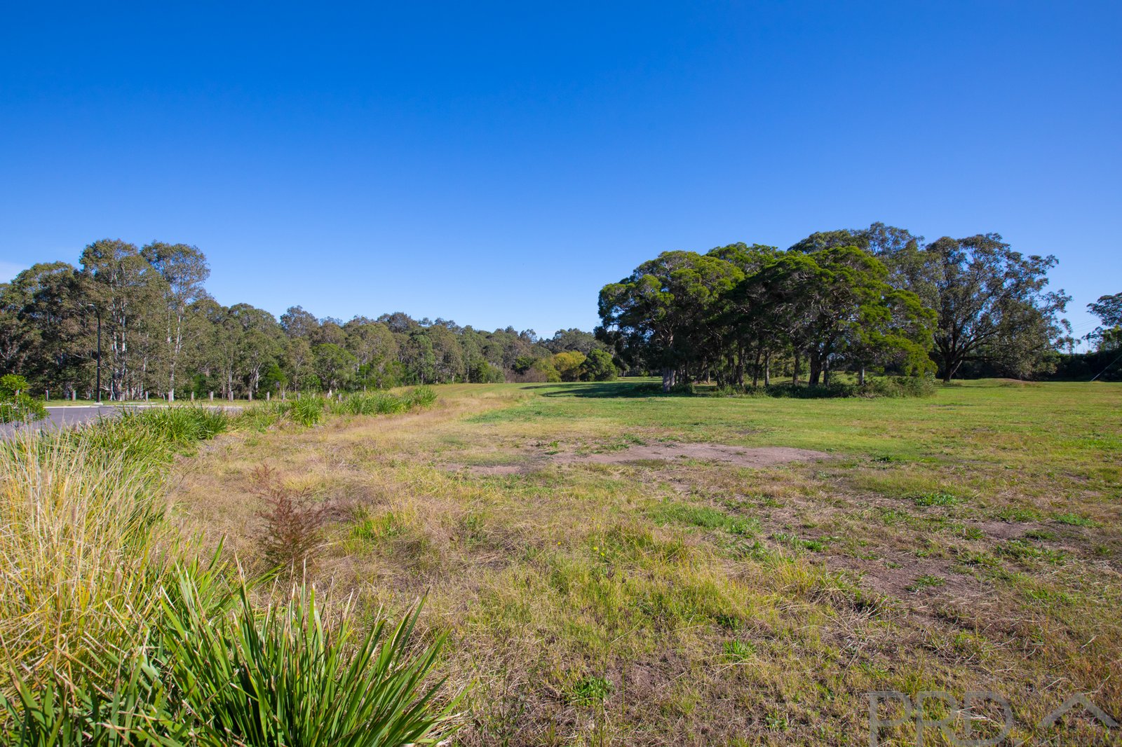 26 Boundary Street RUTHERFORD 6