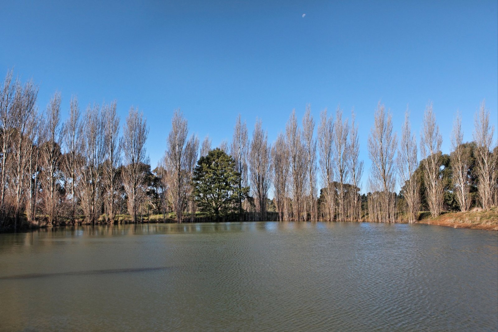 Real Estate and Property in 26 Caddys Lane, Tylden, VIC