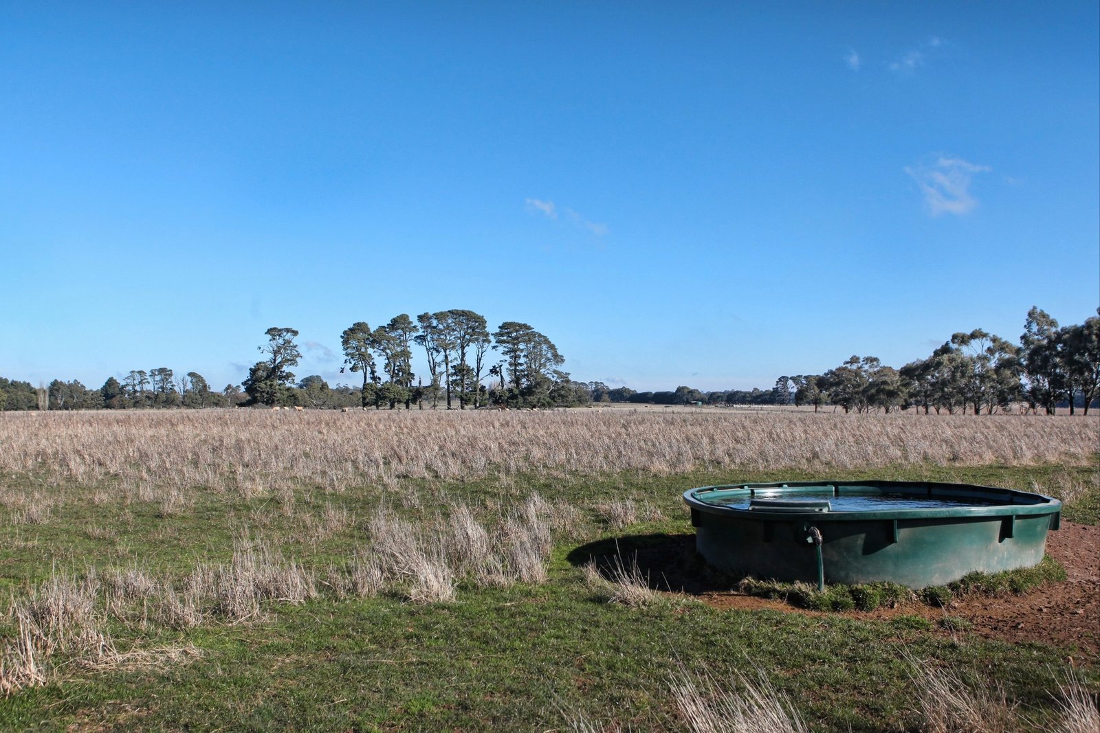 Real Estate and Property in 26 Caddys Lane, Tylden, VIC