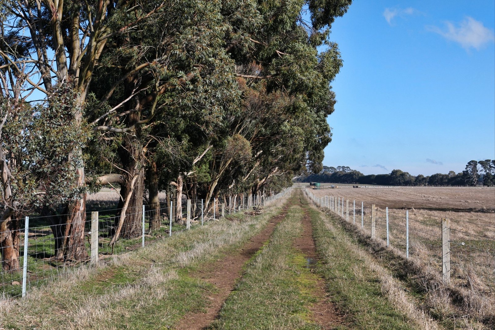 Real Estate and Property in 26 Caddys Lane, Tylden, VIC