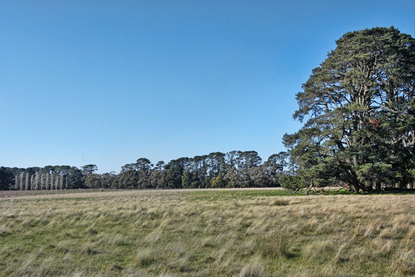 Real Estate and Property in 26 Caddys Lane, Tylden, VIC