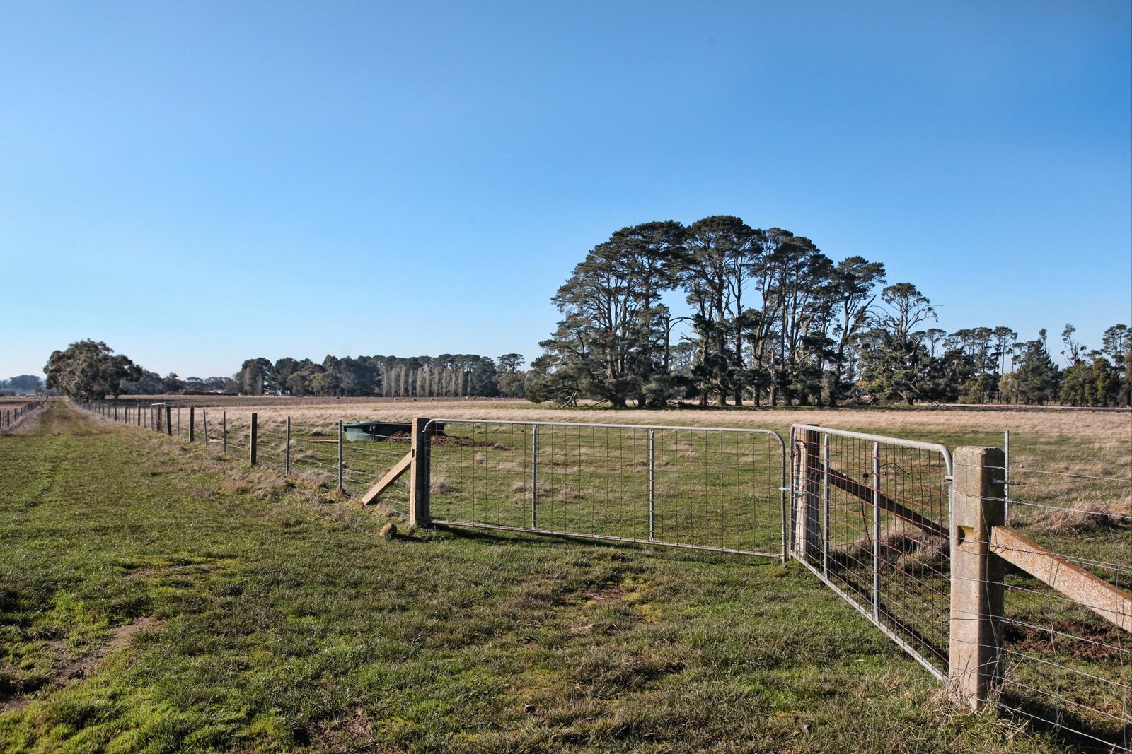 Real Estate and Property in 26 Caddys Lane, Tylden, VIC