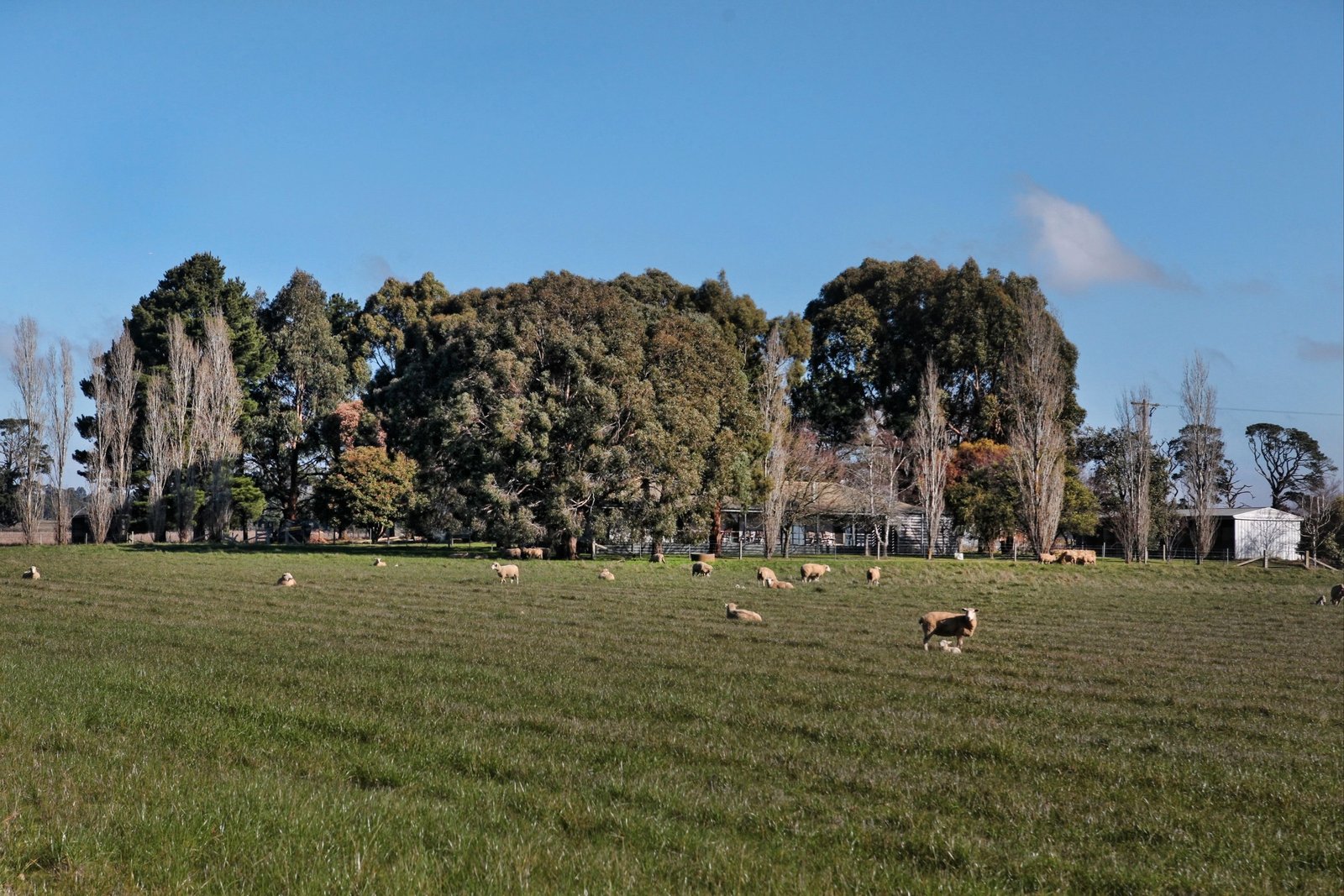 Real Estate and Property in 26 Caddys Lane, Tylden, VIC