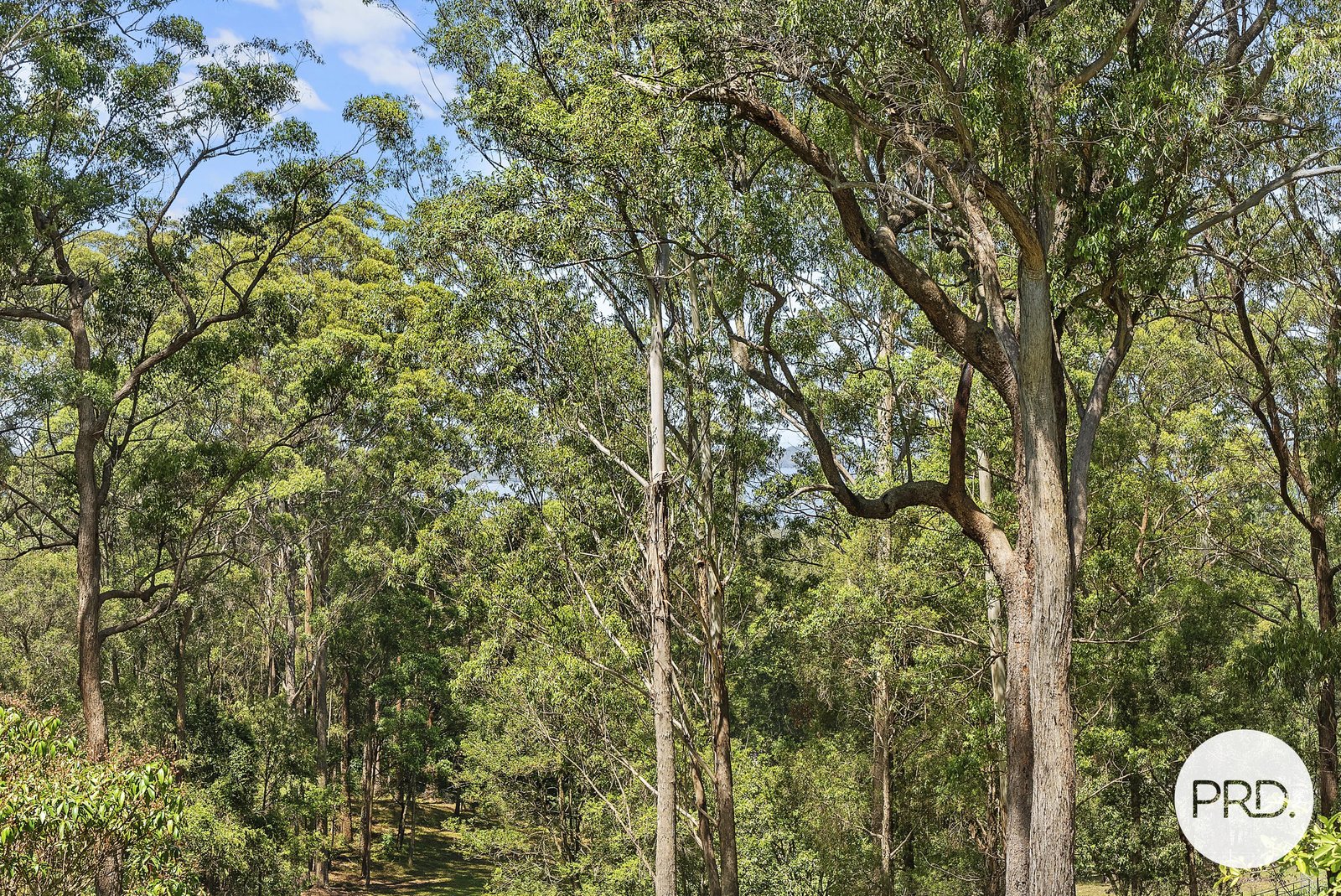 26 Caringal Drive MIDDLE BROTHER 27