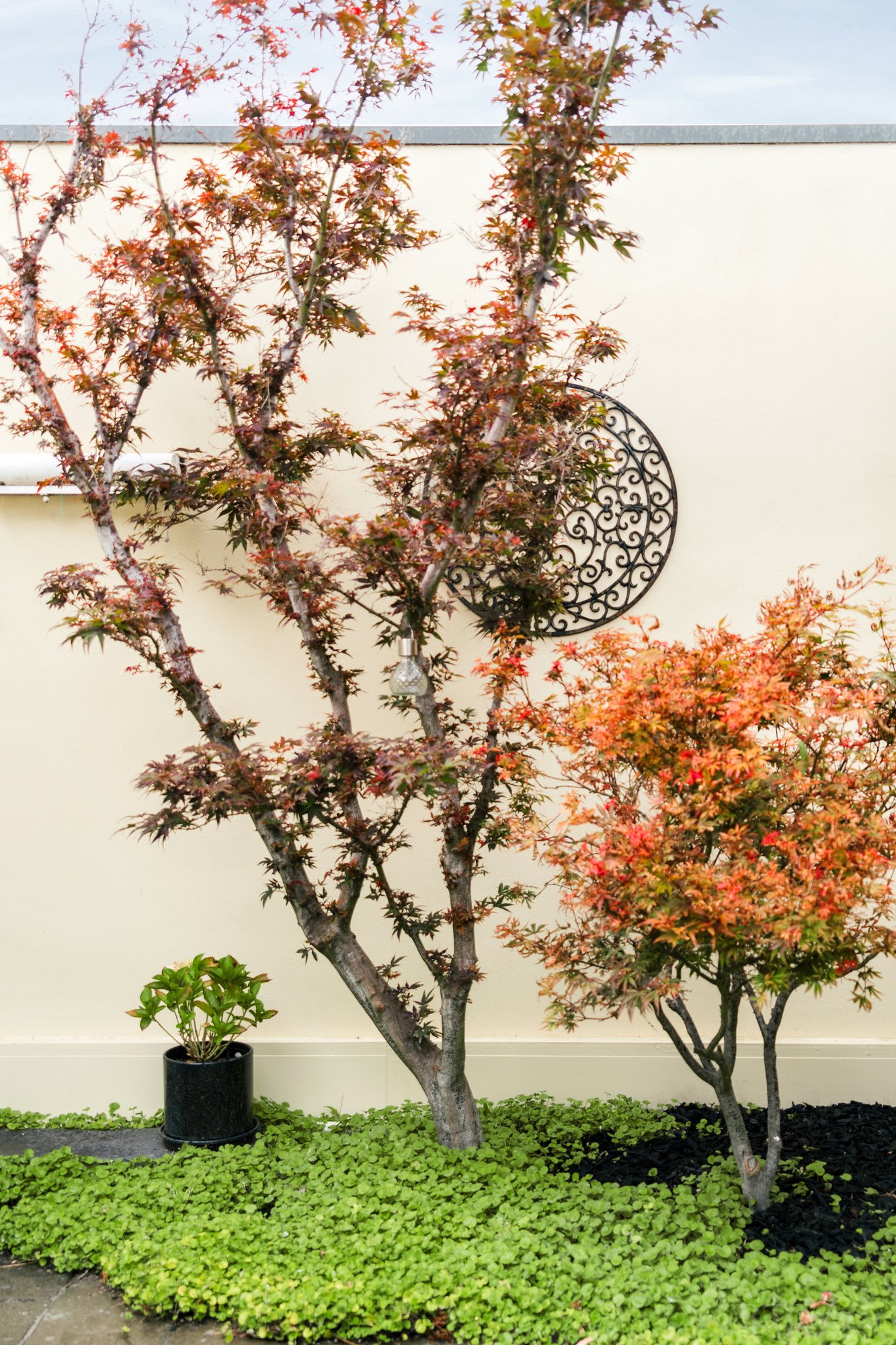 Real Estate and Property in 26 Carnarvon Street, Brunswick, VIC