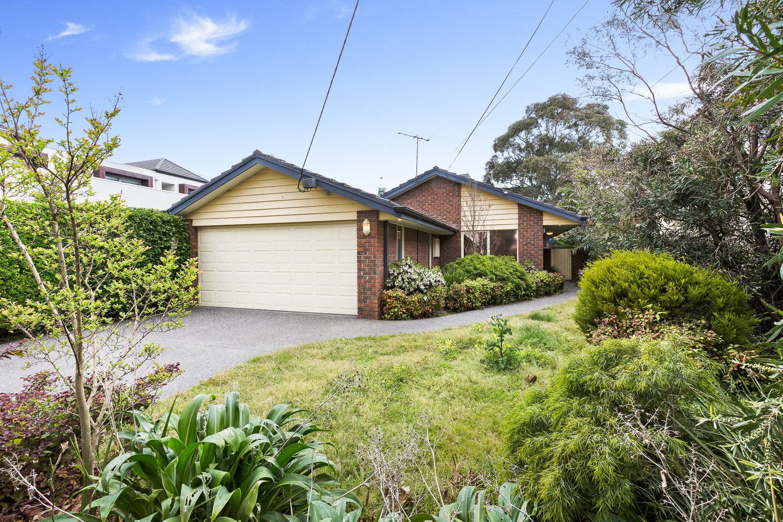 Gallery: 26 Collins Street