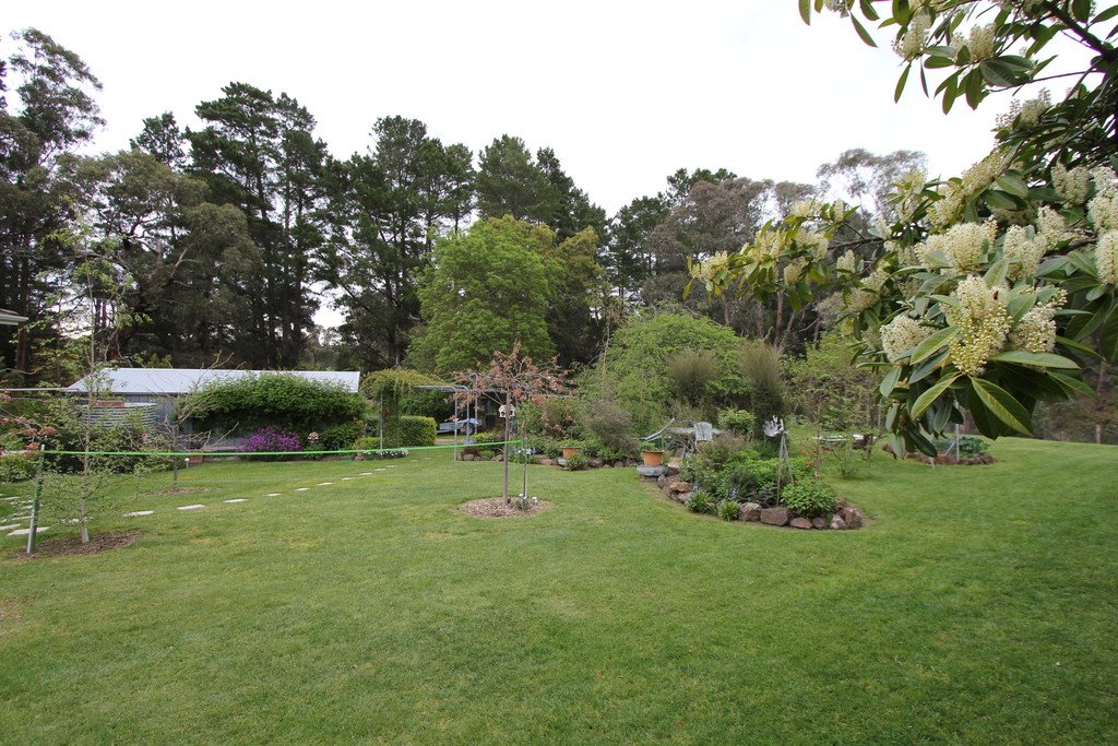 26 Cumberland Street LINTON 5