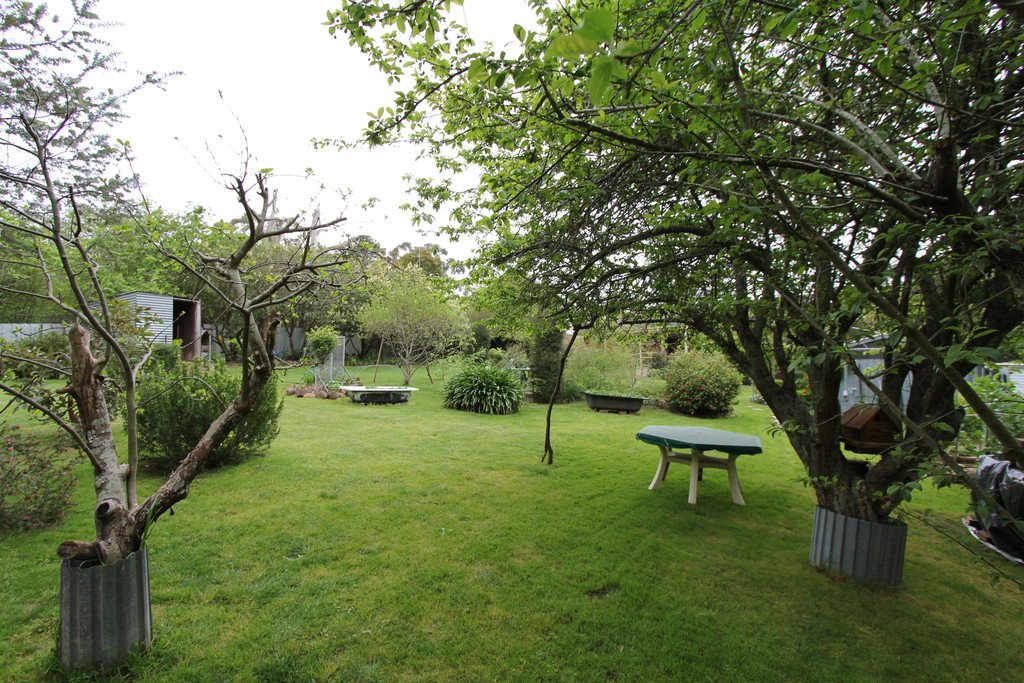 26 Cumberland Street LINTON 8