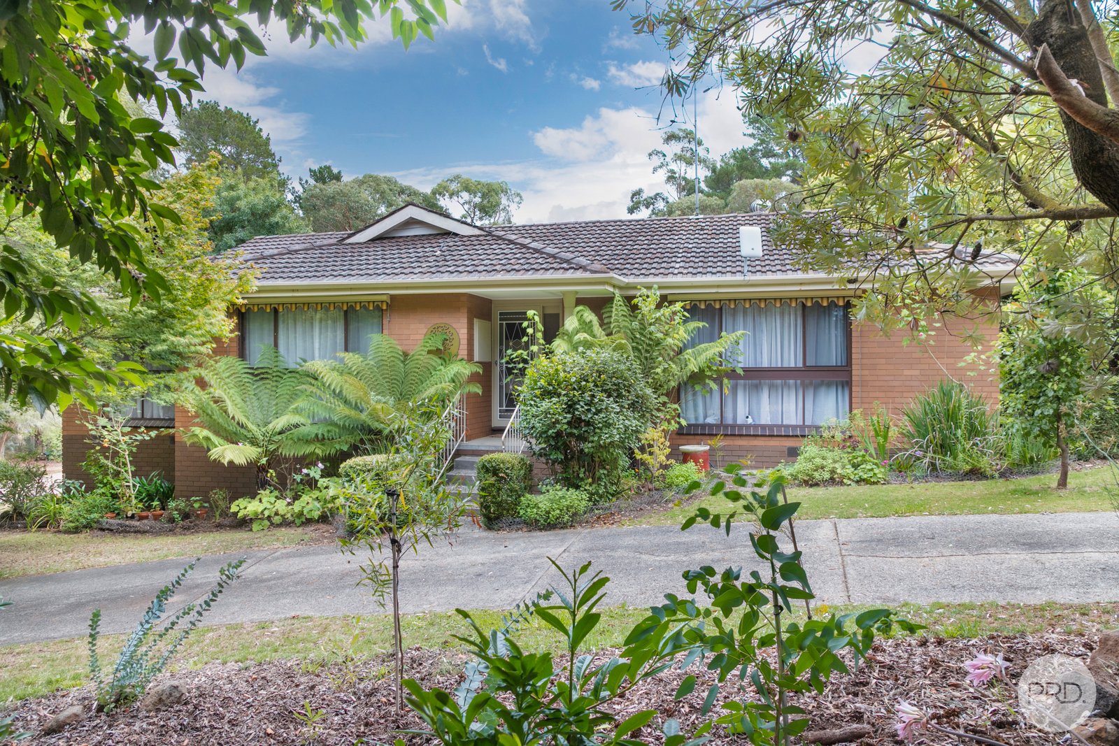 26 Cumberland Street LINTON 1