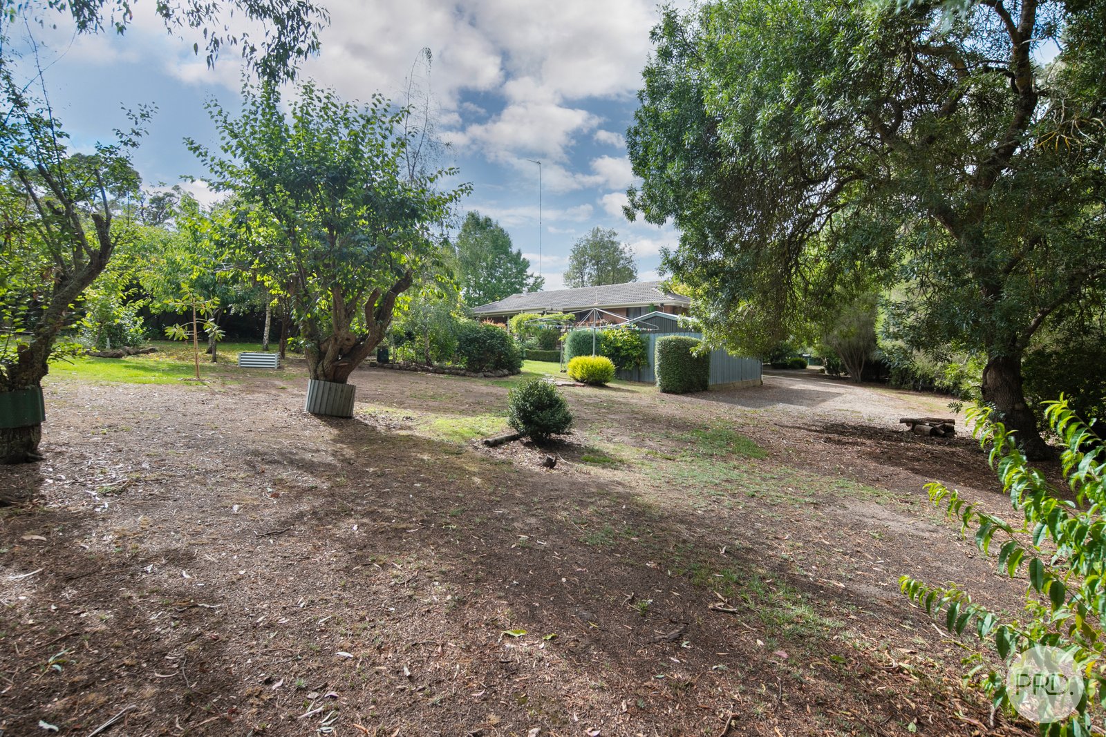 26 Cumberland Street LINTON 12