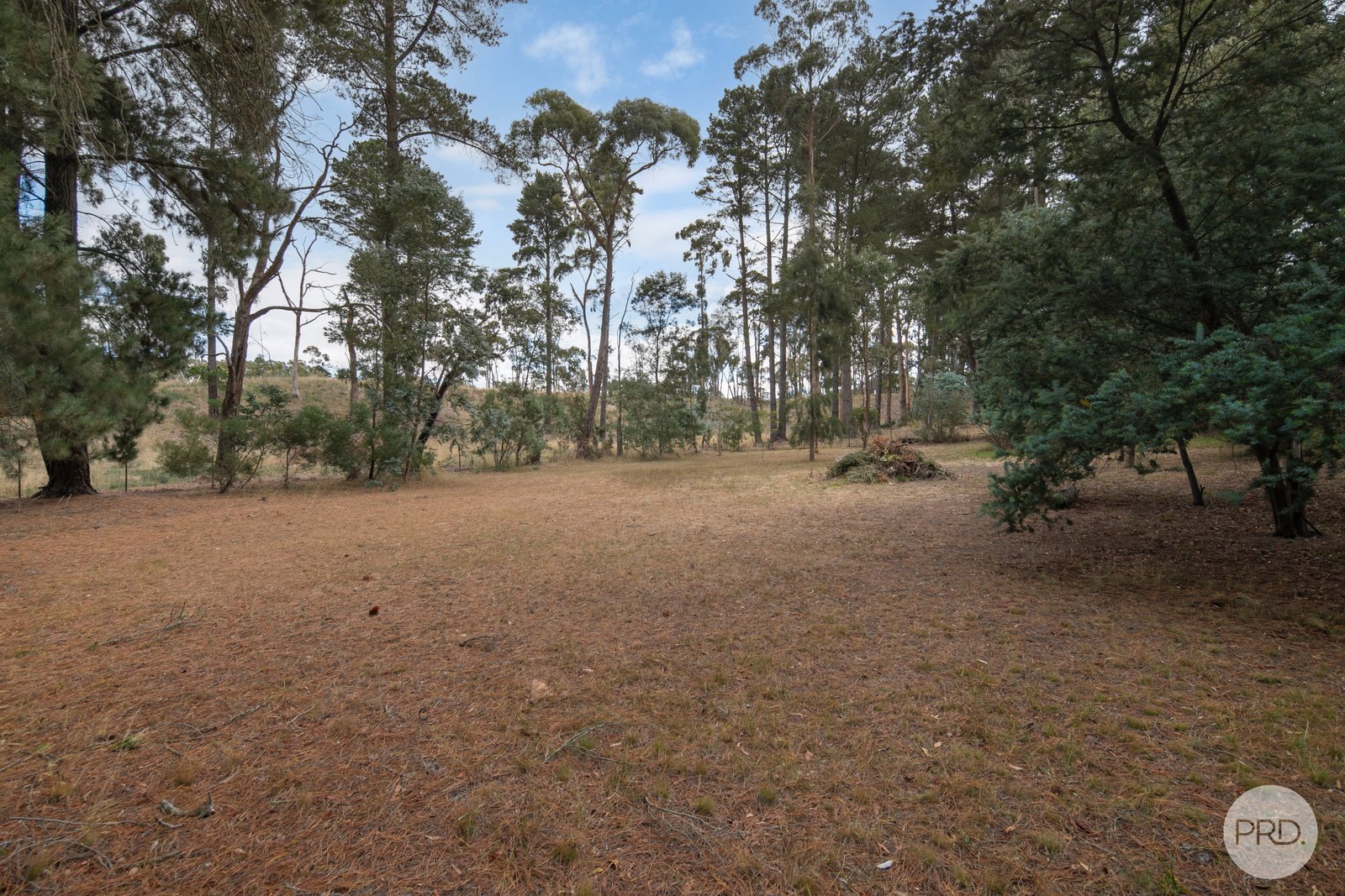 26 Cumberland Street LINTON 14