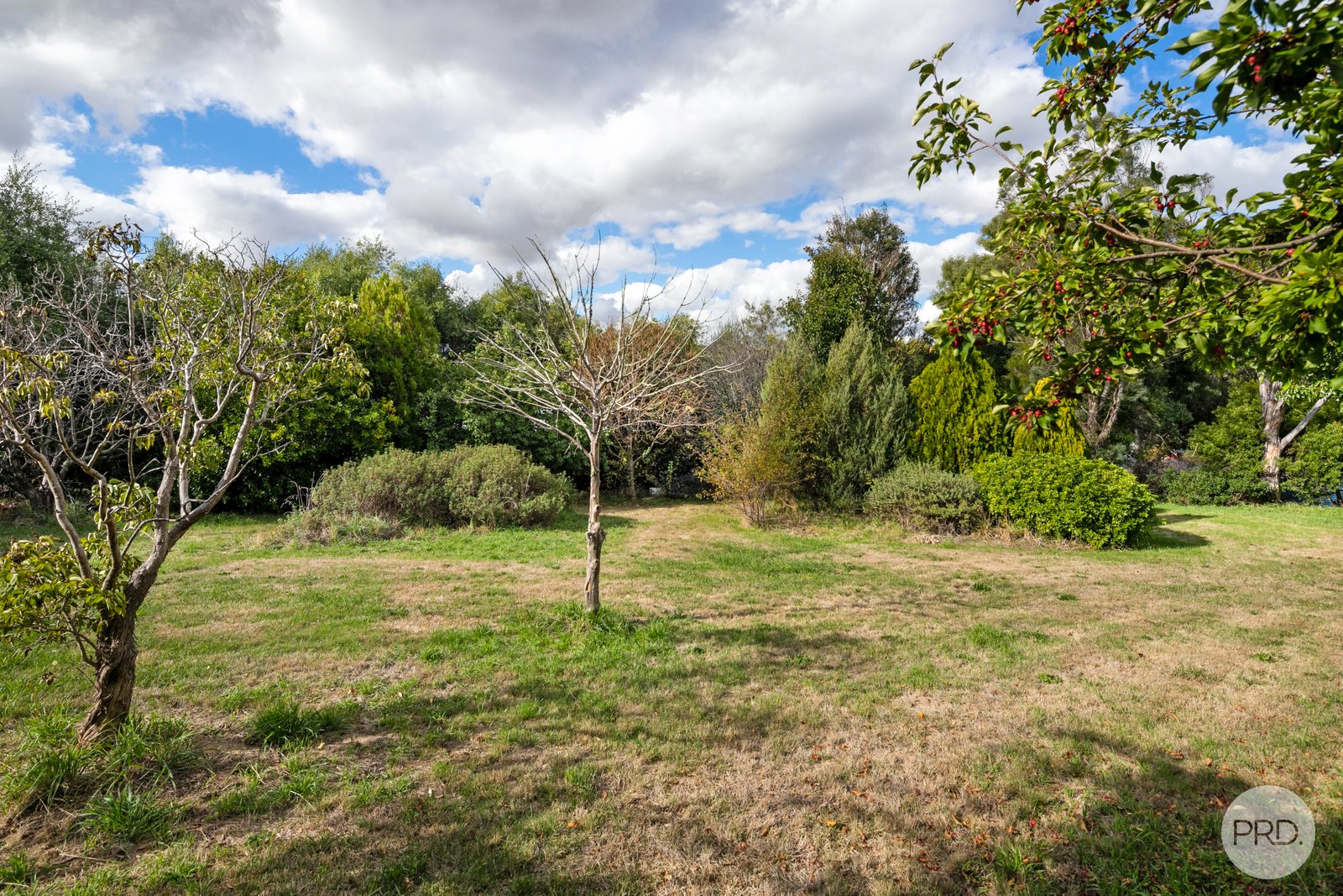 26 Hammon Street CRESWICK 16