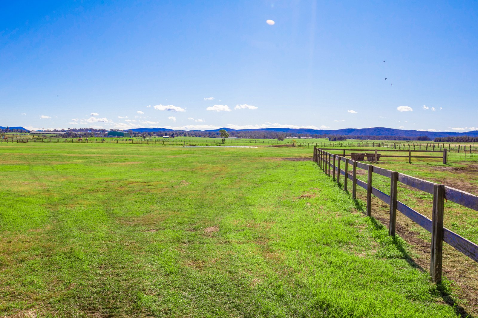 26 Hunter Street HINTON 8