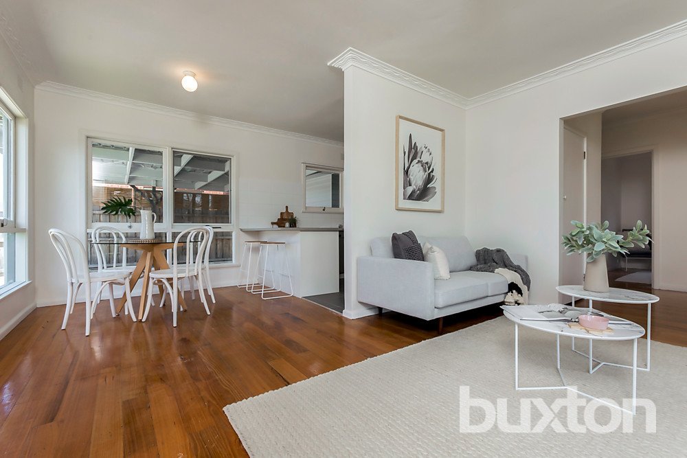 Gallery: 26 Ivy Street