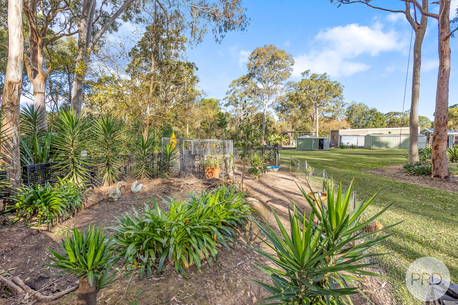 26 Karwin Road MEDOWIE 24