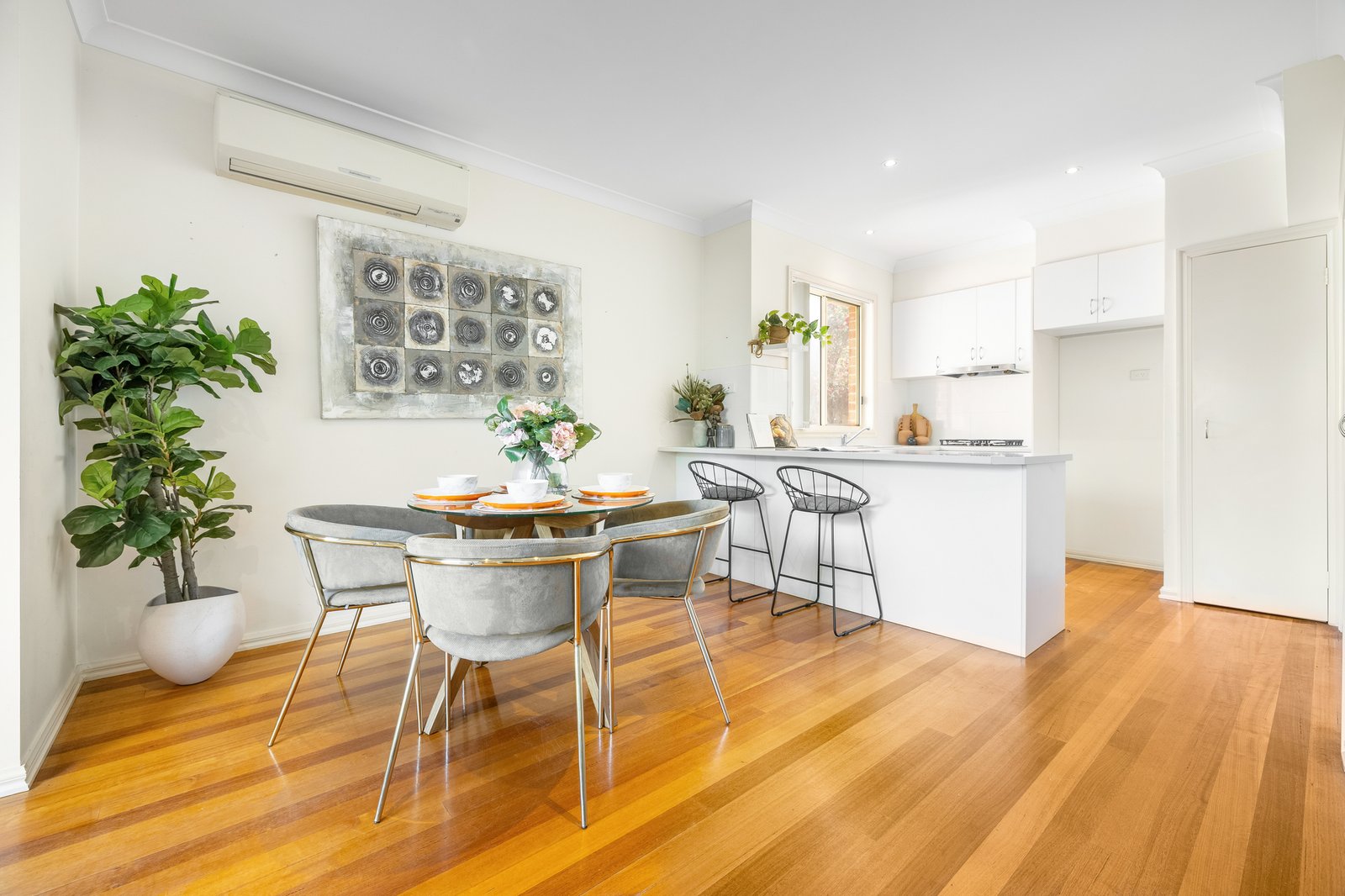 Gallery: 2/6 Mclochlan Street