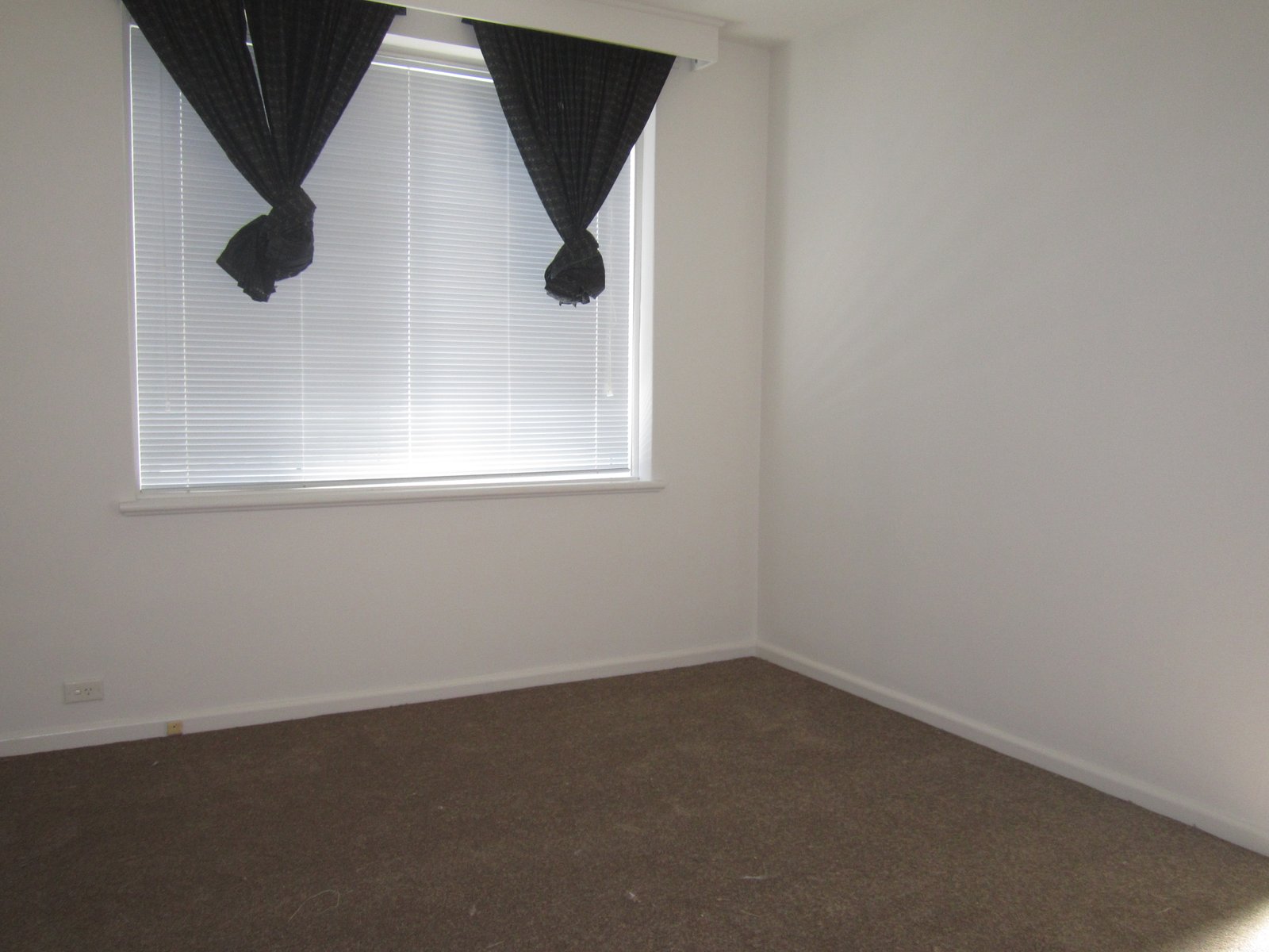 Gallery: 2/6 Mitford Street