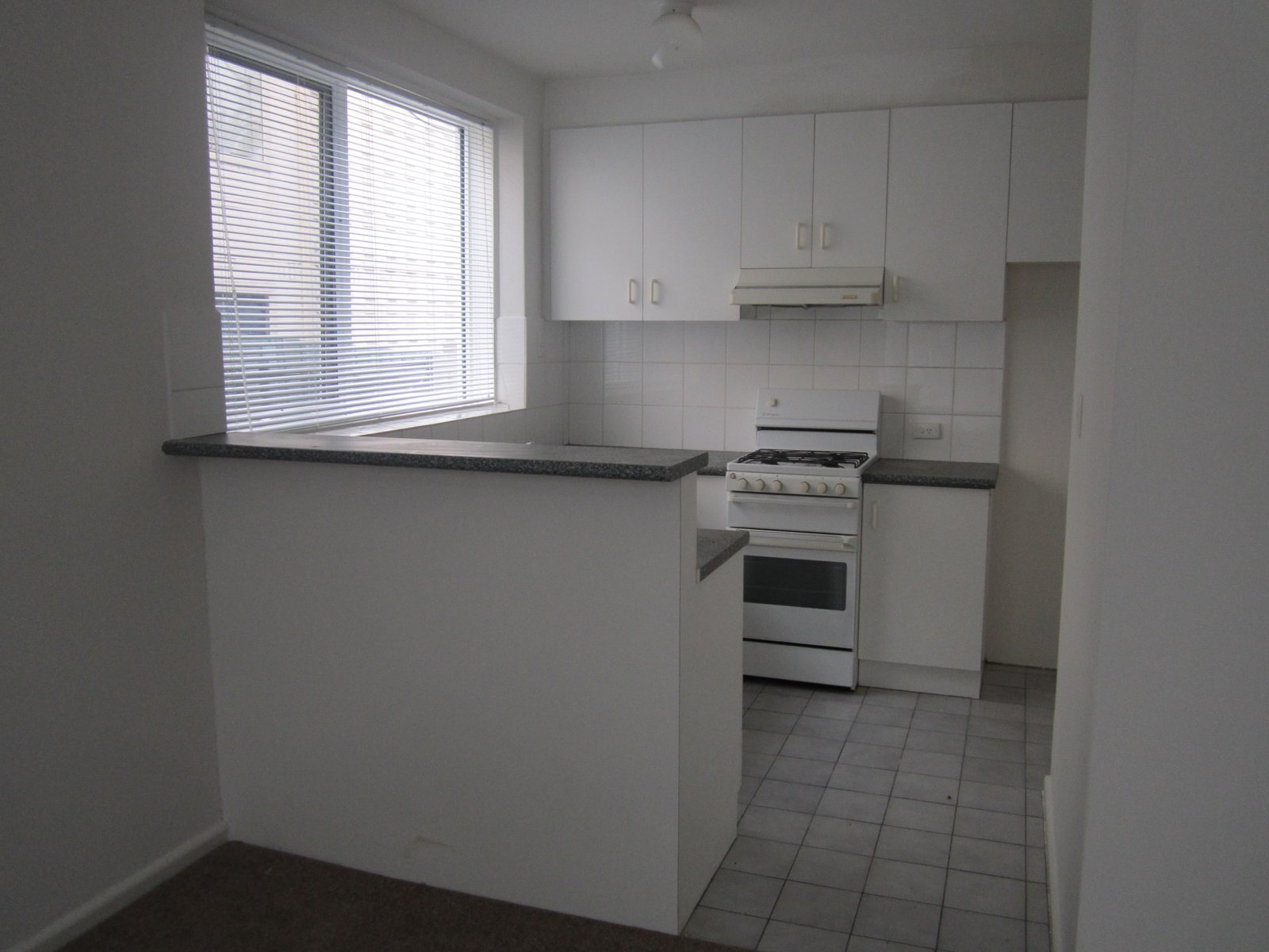 Gallery: 2/6 Mitford Street