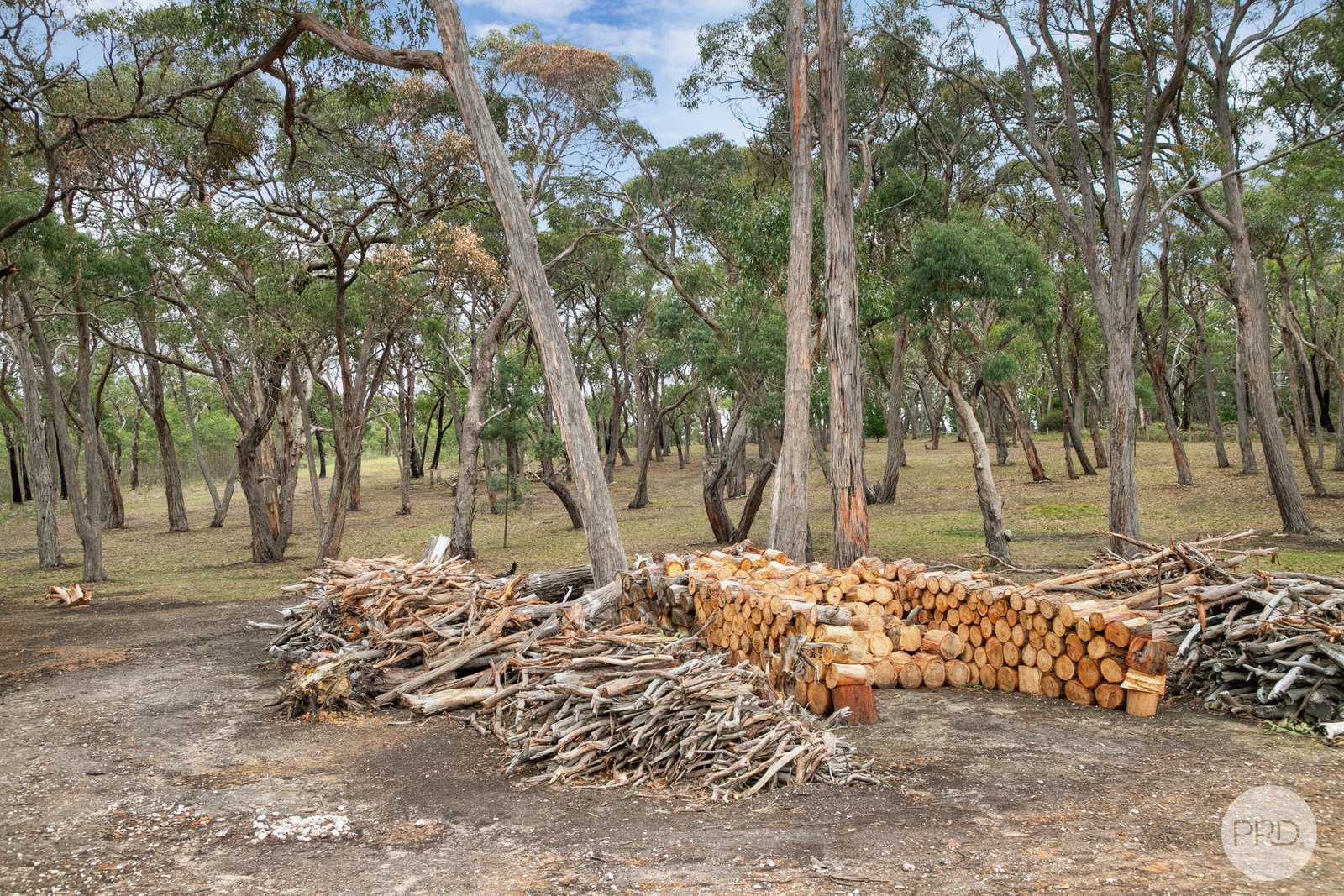 26 Moffats Road DEREEL 10