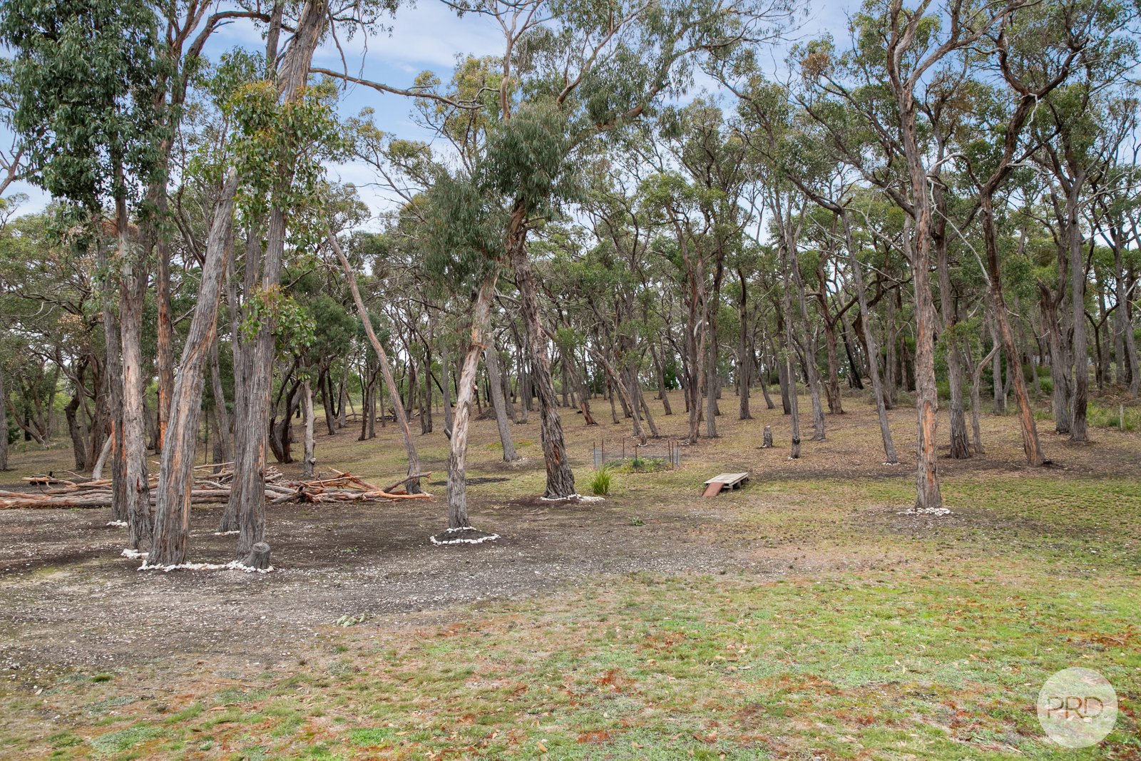 26 Moffats Road DEREEL 11