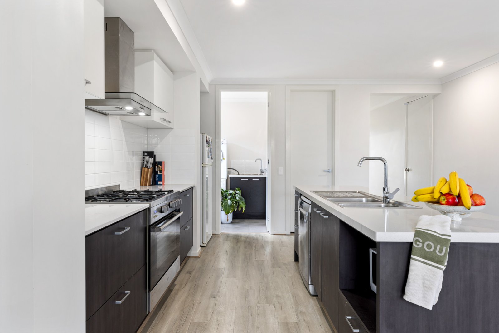 Gallery: 26 Pernonie Street