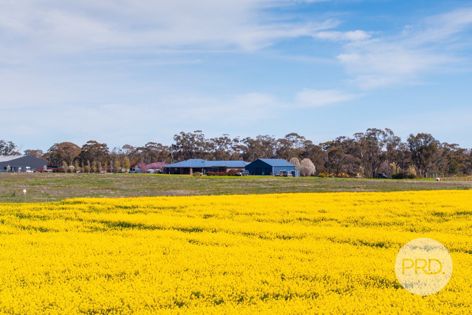 26 Pykes Lane COOLAMON 4